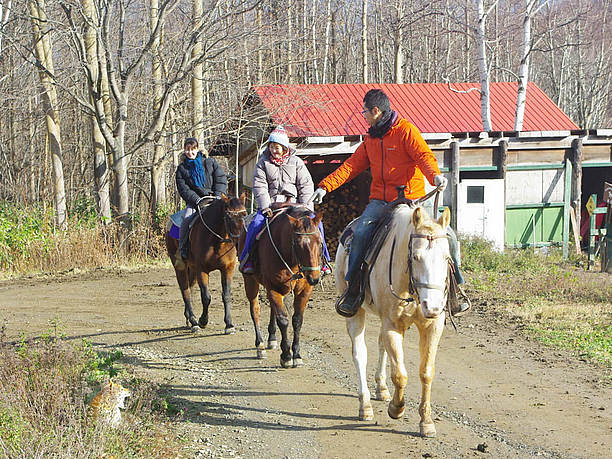 自然の中での乗馬が楽しめる春香ホースランチは冬もok Jtrip Smart Magazine 北海道