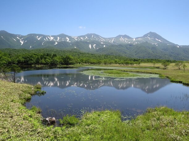 知床観光でココは外せない 動植物が息づく森と知床五湖 Jtrip Smart Magazine 北海道