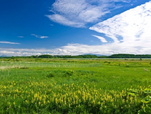 8 月 人気 下旬 北海道 服